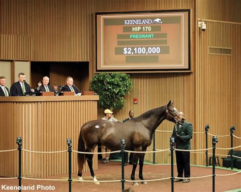 results from keeneland